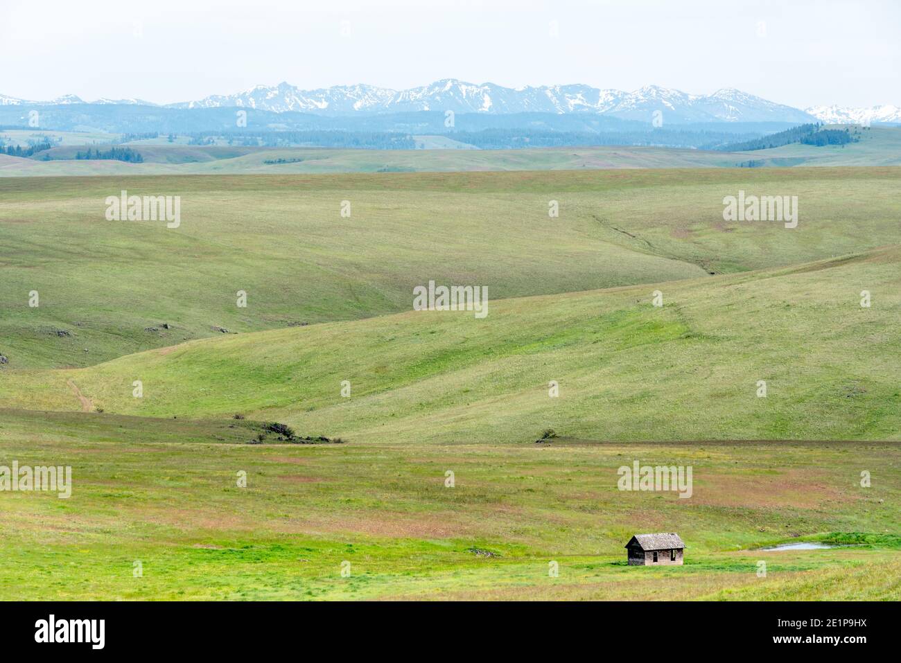 Vecchia casa sulla Zumwalt Prairie dell'Oregon. Foto Stock