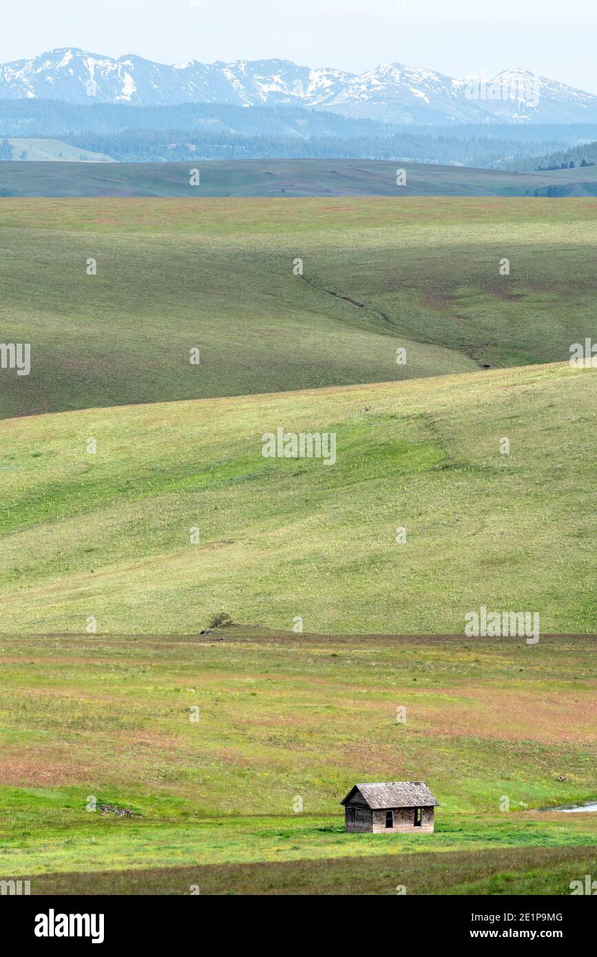 Vecchia casa sulla Zumwalt Prairie dell'Oregon. Foto Stock
