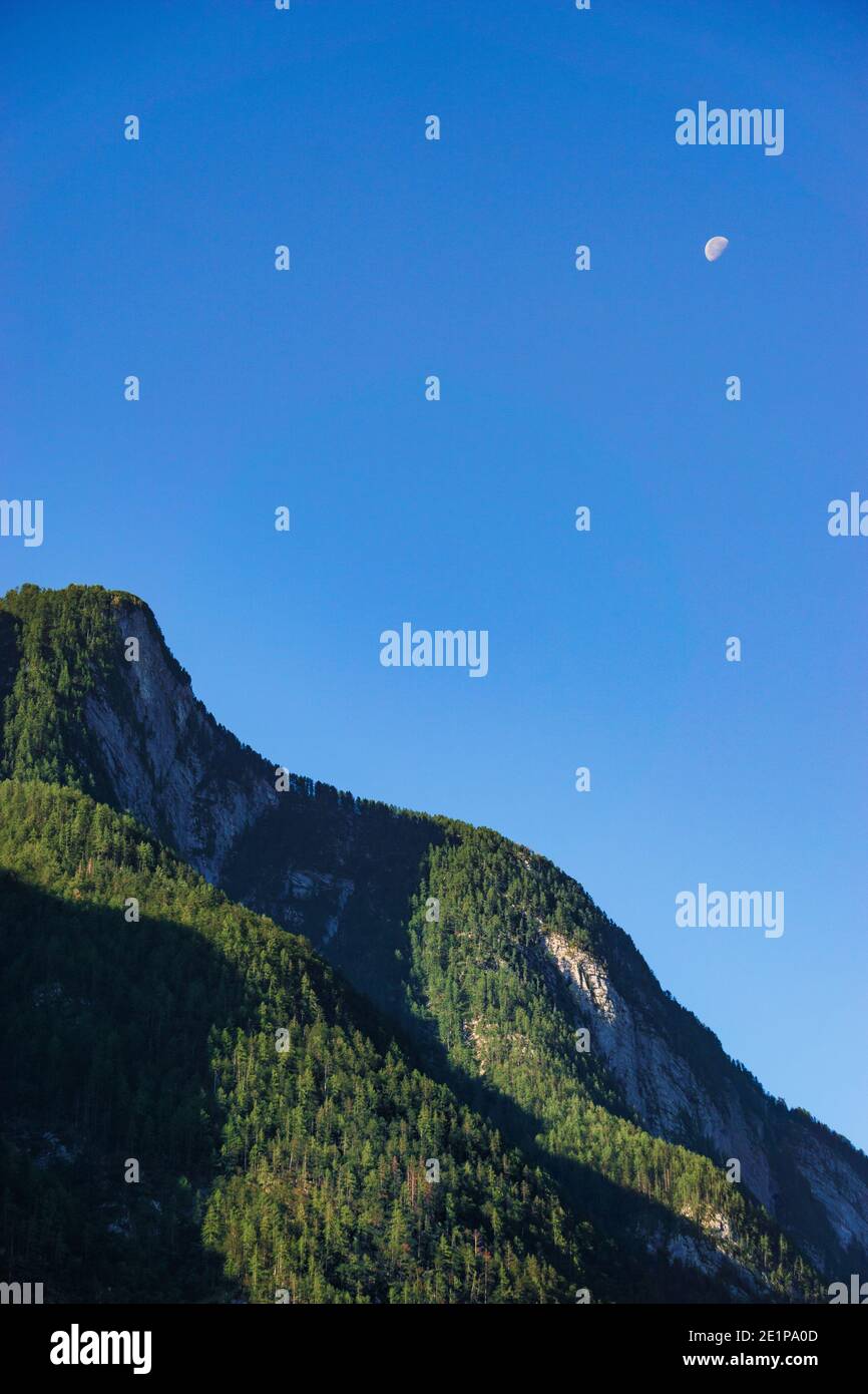 Cielo blu con mezza luna di giorno e alberi verdi in montagna al sole del mattino Foto Stock