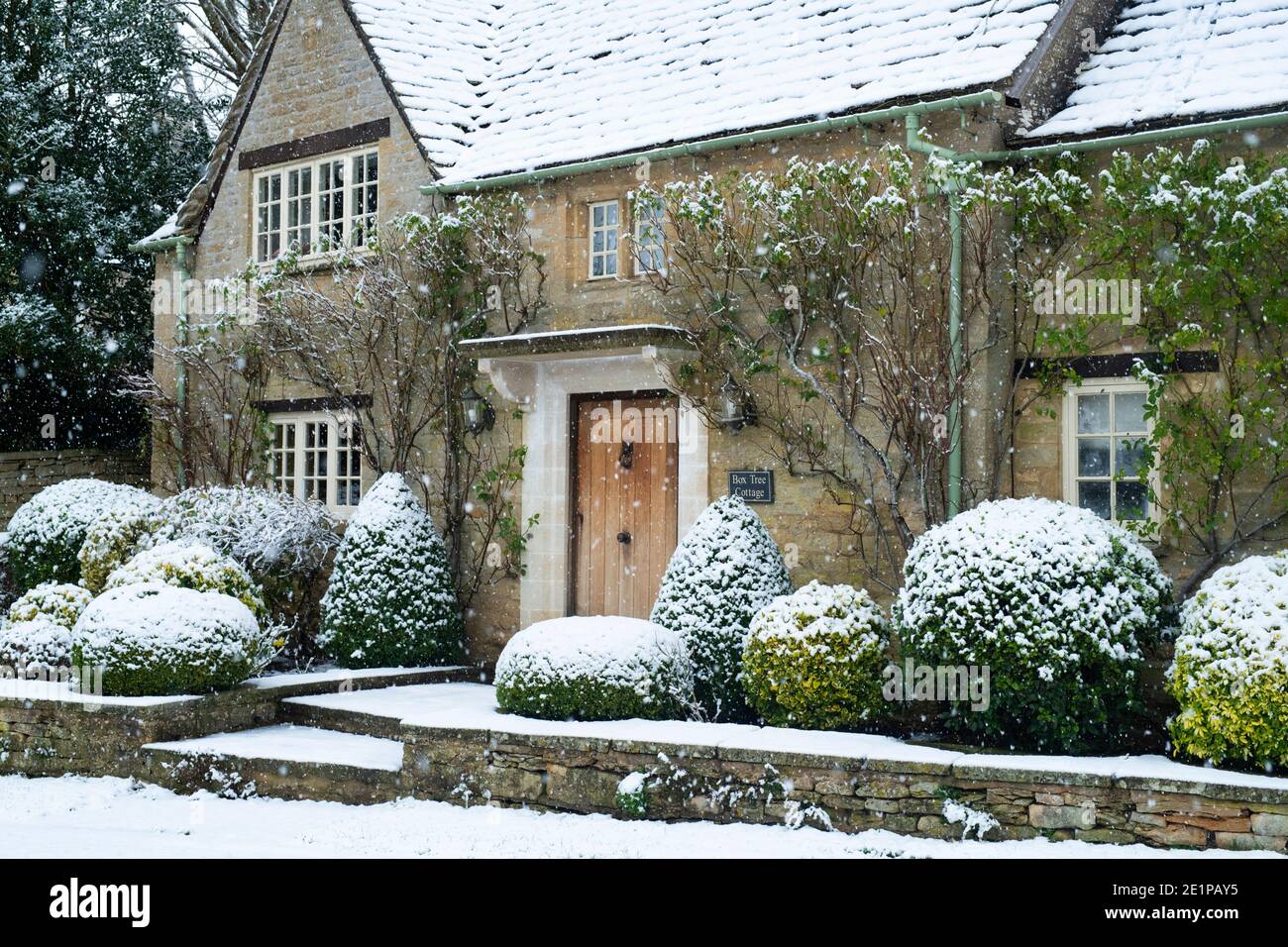 Cottage di pietra di Cotswold con siepi di scatola tagliate nella neve di dicembre. Taynton, Cotswolds, Oxfordshire, Inghilterra Foto Stock