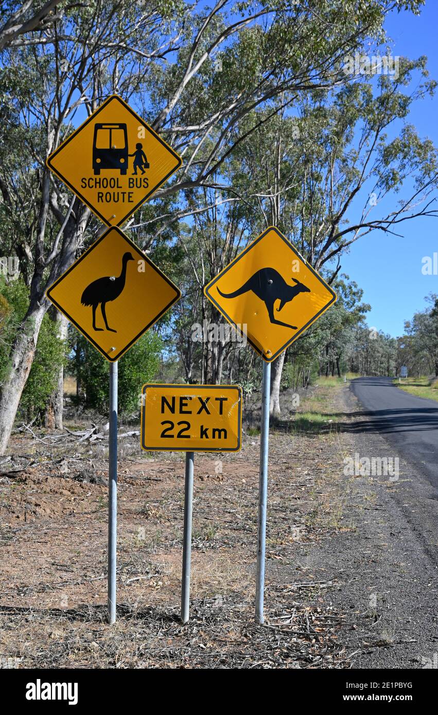 Cartelli stradali australiani iconici con emu e avvertenze sui canguri al  segno del bus della scuola nel cespuglio Foto stock - Alamy