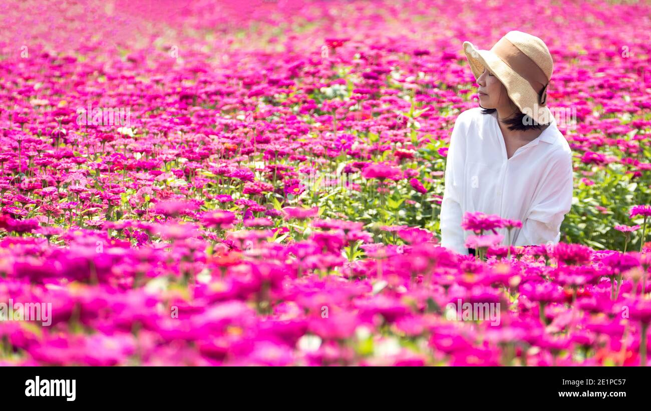 La ragazza in un campo di fiori di bel colore e leggero Foto Stock