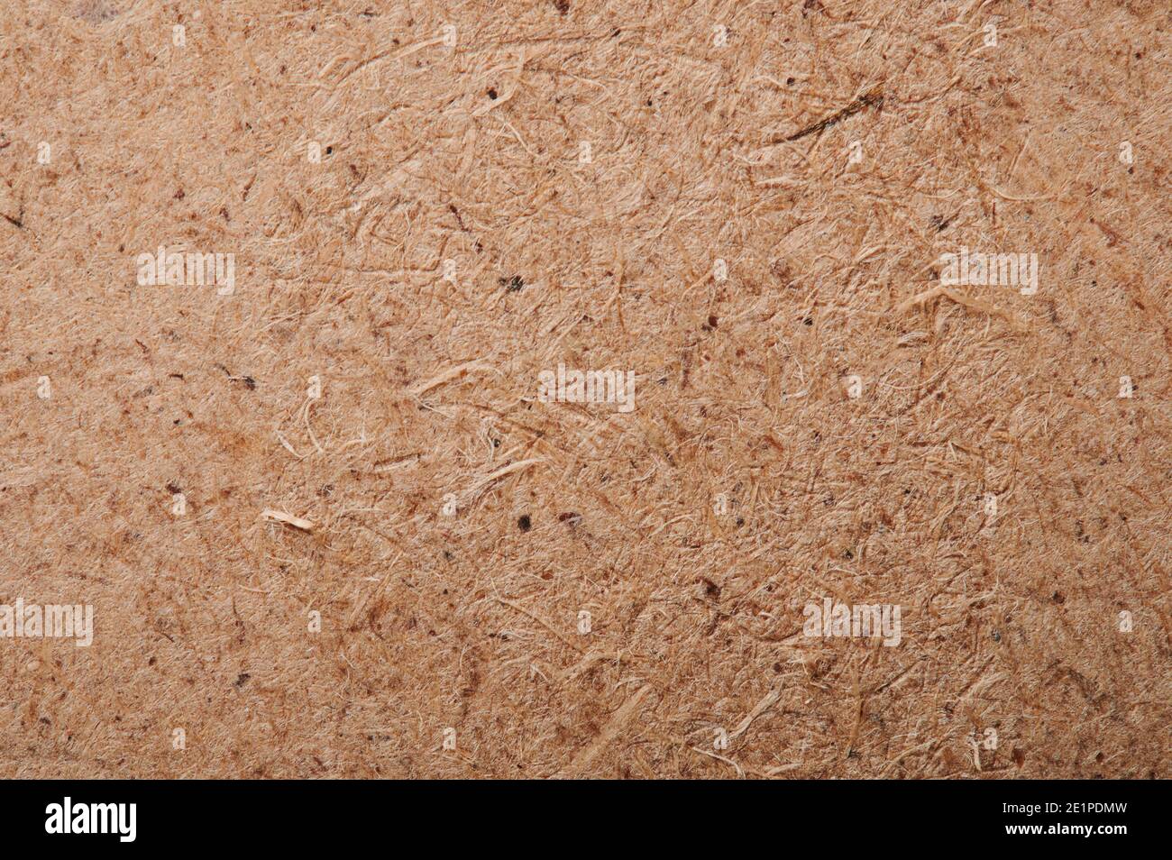 Vista ravvicinata macro texture pannello in legno pressato Foto Stock