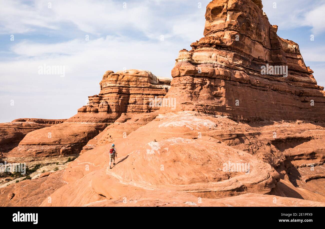 Una donna che fa escursioni nel distretto di Needles del Canyonlands National Park, Utah, USA. Foto Stock