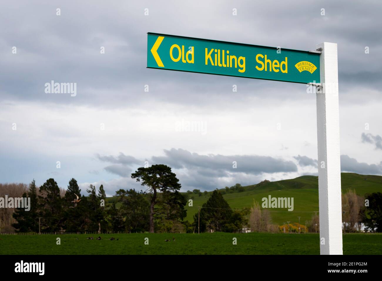 'Old Killing Shed', Porangahau, Hawkes Bay, Isola del Nord, Nuova Zelanda Foto Stock