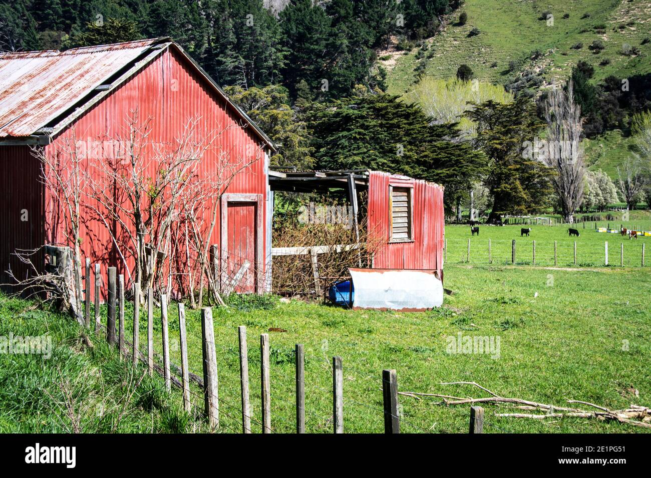 Granaio rosso, Wimbledon, distretto di Tararua, Isola del Nord, Nuova Zelanda Foto Stock