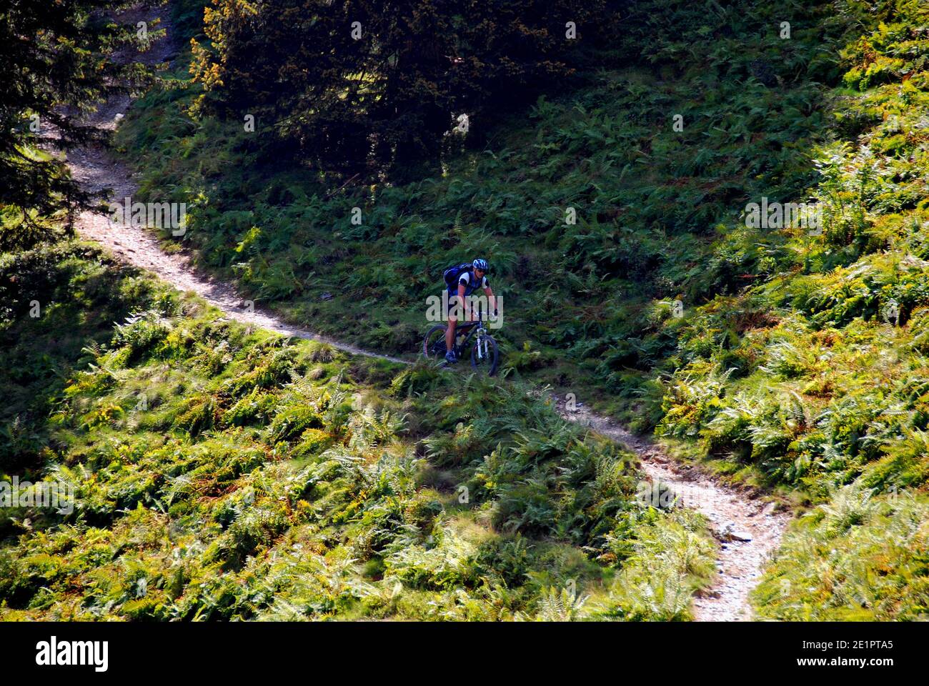 mountain bike su uno stretto sentiero in montagna Foto Stock