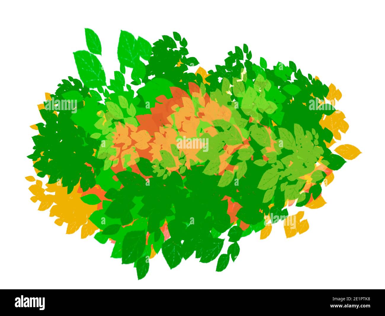 Sinfonia colorata e astratta del fogliame che rappresenta le stagioni dell'anno. Immagine isolata su sfondo bianco. Foto Stock