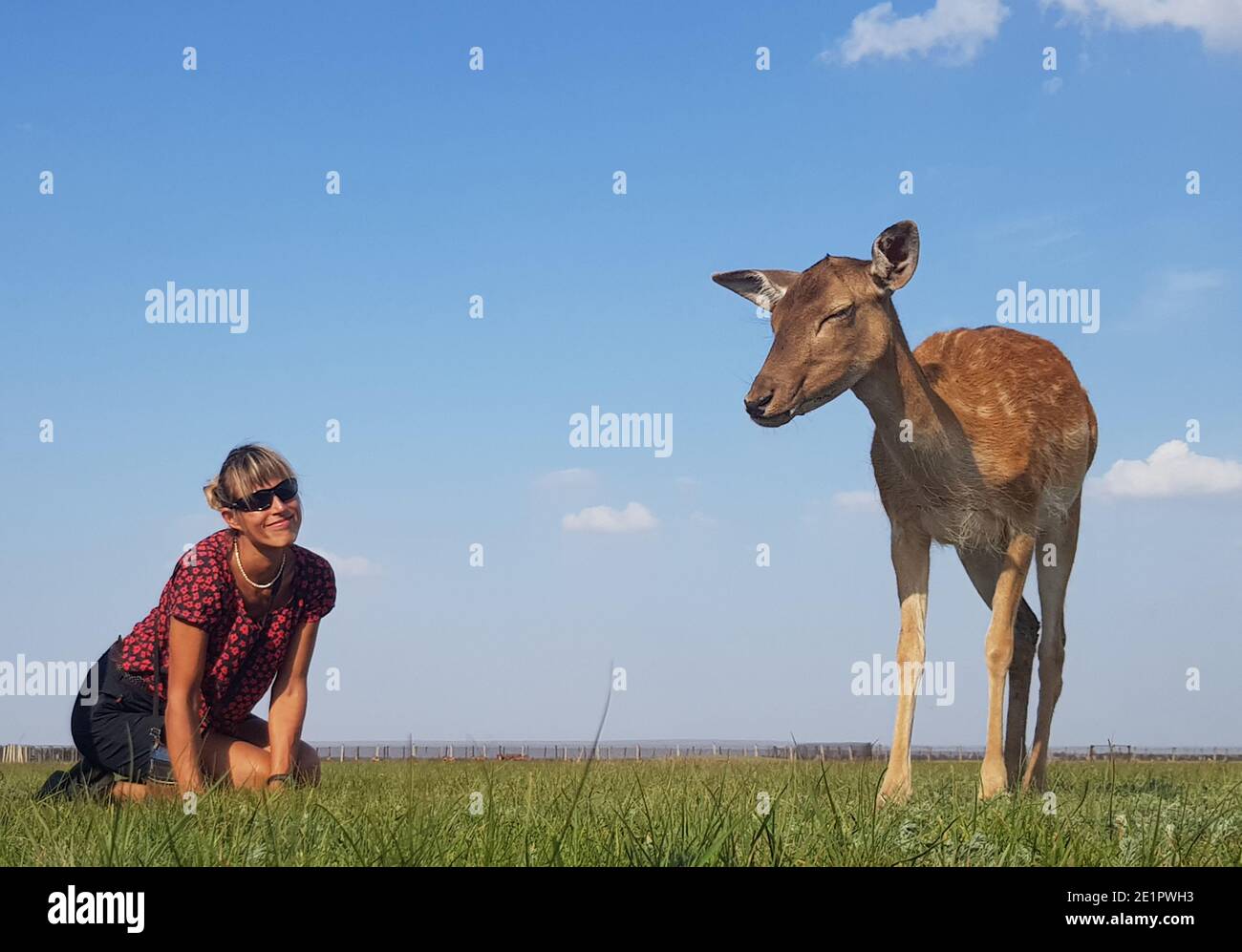 La ragazza è seduta su un prato verde e il cervo è in piedi nelle vicinanze. Cielo blu sullo sfondo. Askania-Nova - safari. Foto Stock