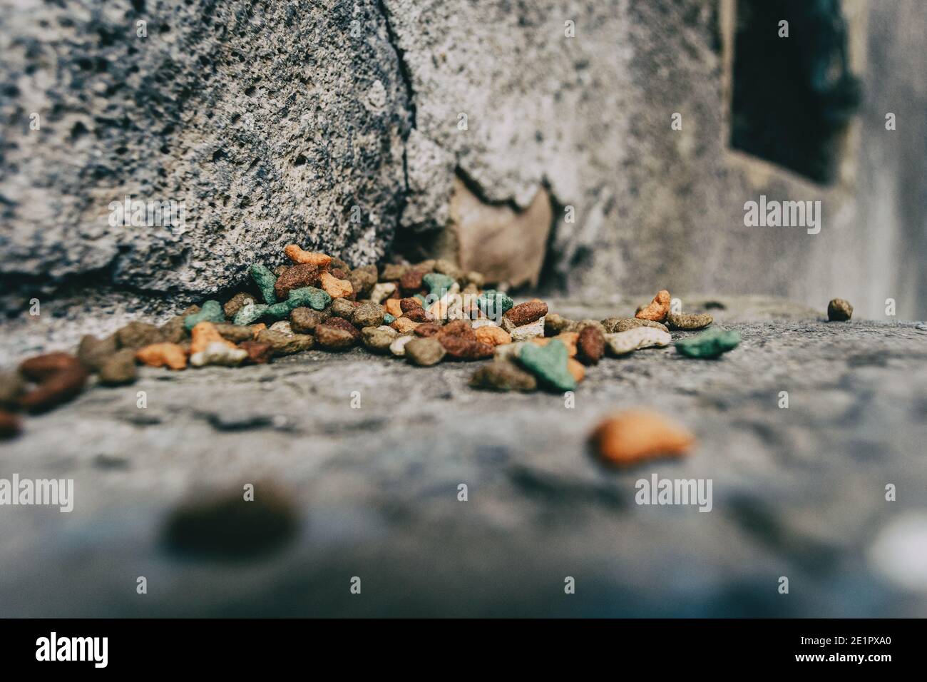 cat food in un angolo di una strada in Spagna Foto Stock