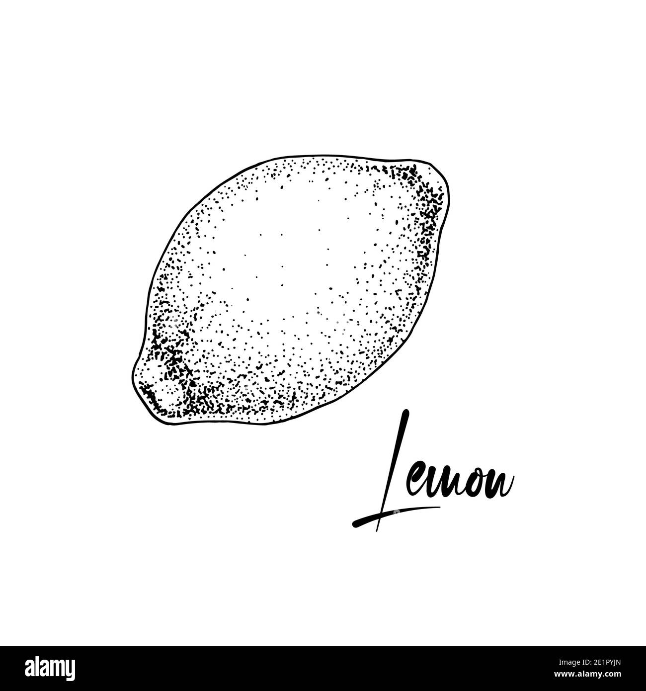 Limone intero disegnato a mano isolato su sfondo bianco. Illustrazione vettoriale nello stile di schizzo. Impianto di richiamo dell'immunità Foto Stock