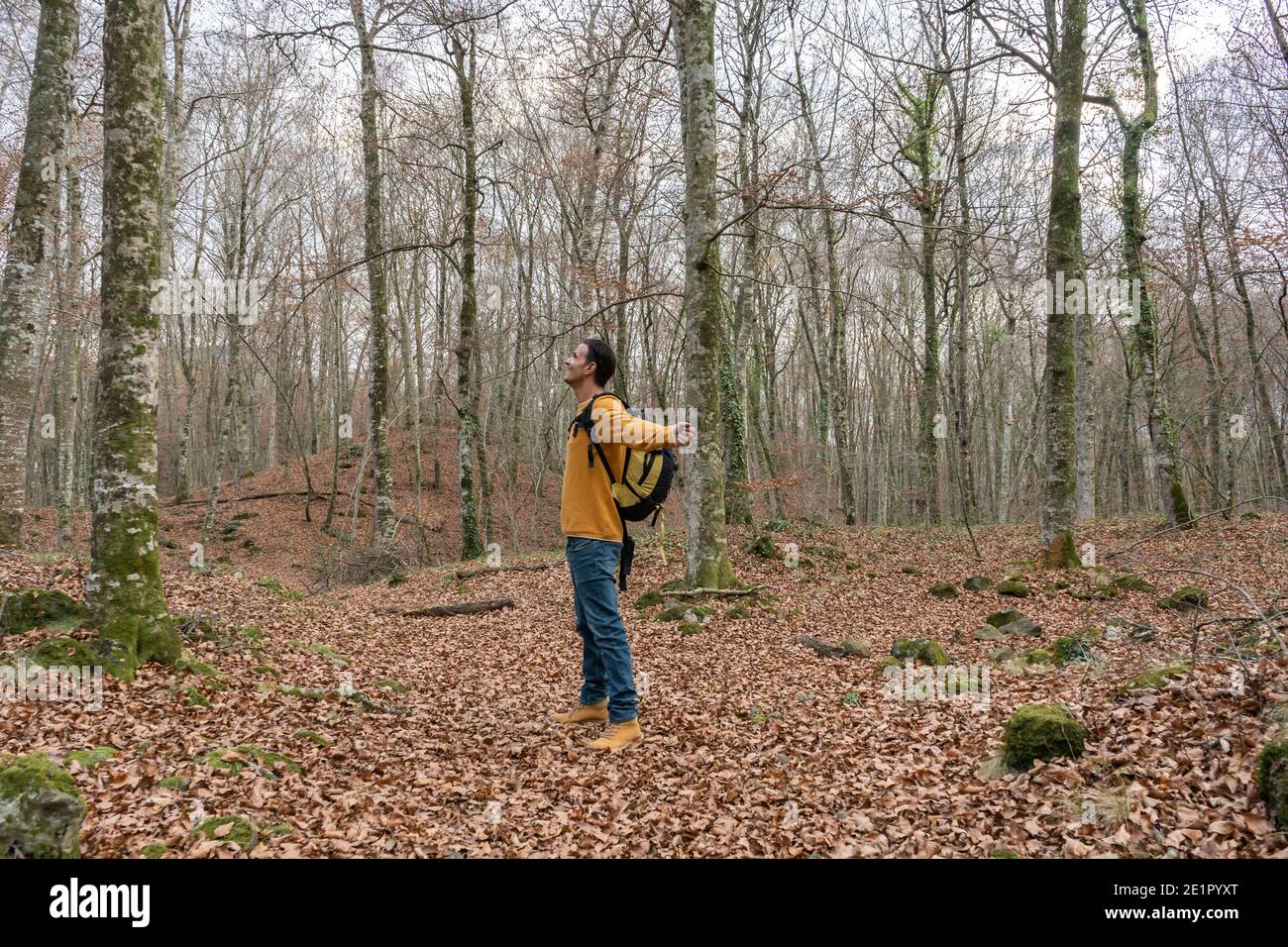 Uomo di stile con braccia aperte / mani nella foresta.felicità, celebrazione concetto di vittoria.stile di vita di viaggio in paesaggio sorprendente con spazio di copia Foto Stock