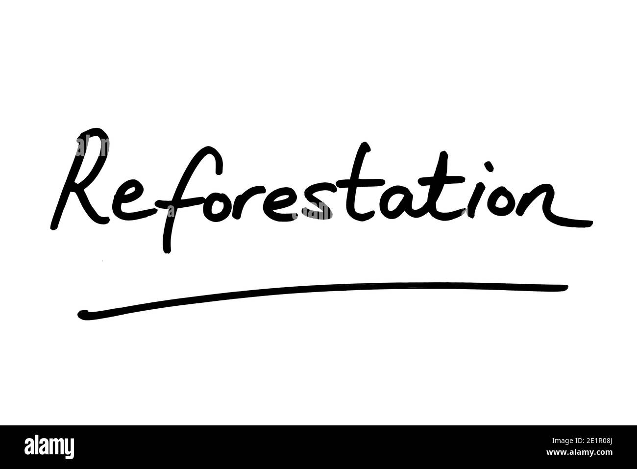 La parola riforestazione scritta a mano su uno sfondo bianco. Foto Stock