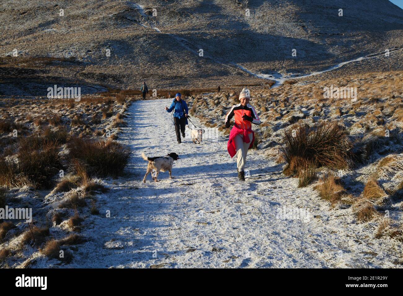 Passeggiate invernali / corsa nelle Lowlands centrali della Scozia. Foto Stock