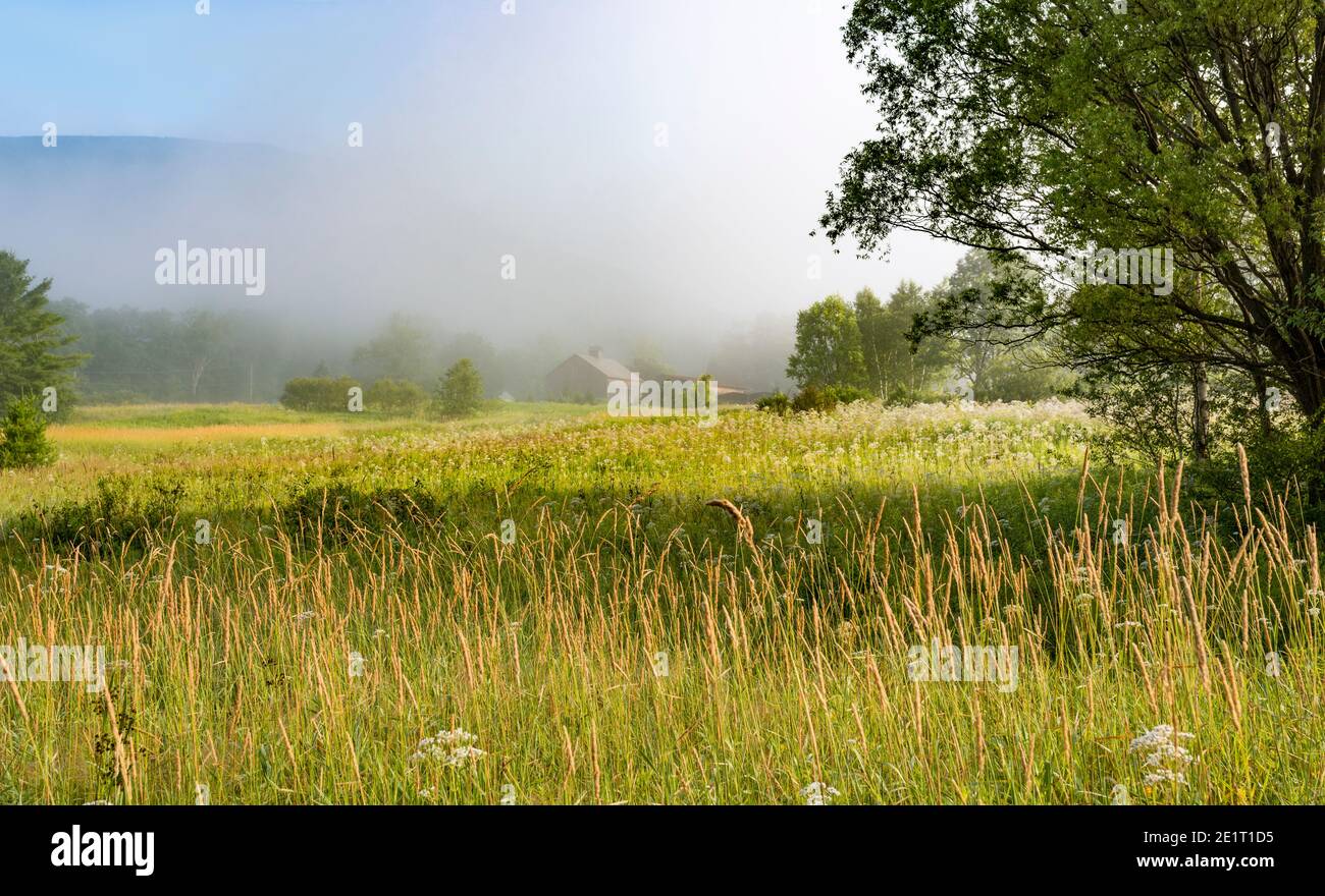 Misty mattina scena di un campo con un fienile e vista leggera del Monte Equinox sullo sfondo da Manchester, Vermont. Foto Stock