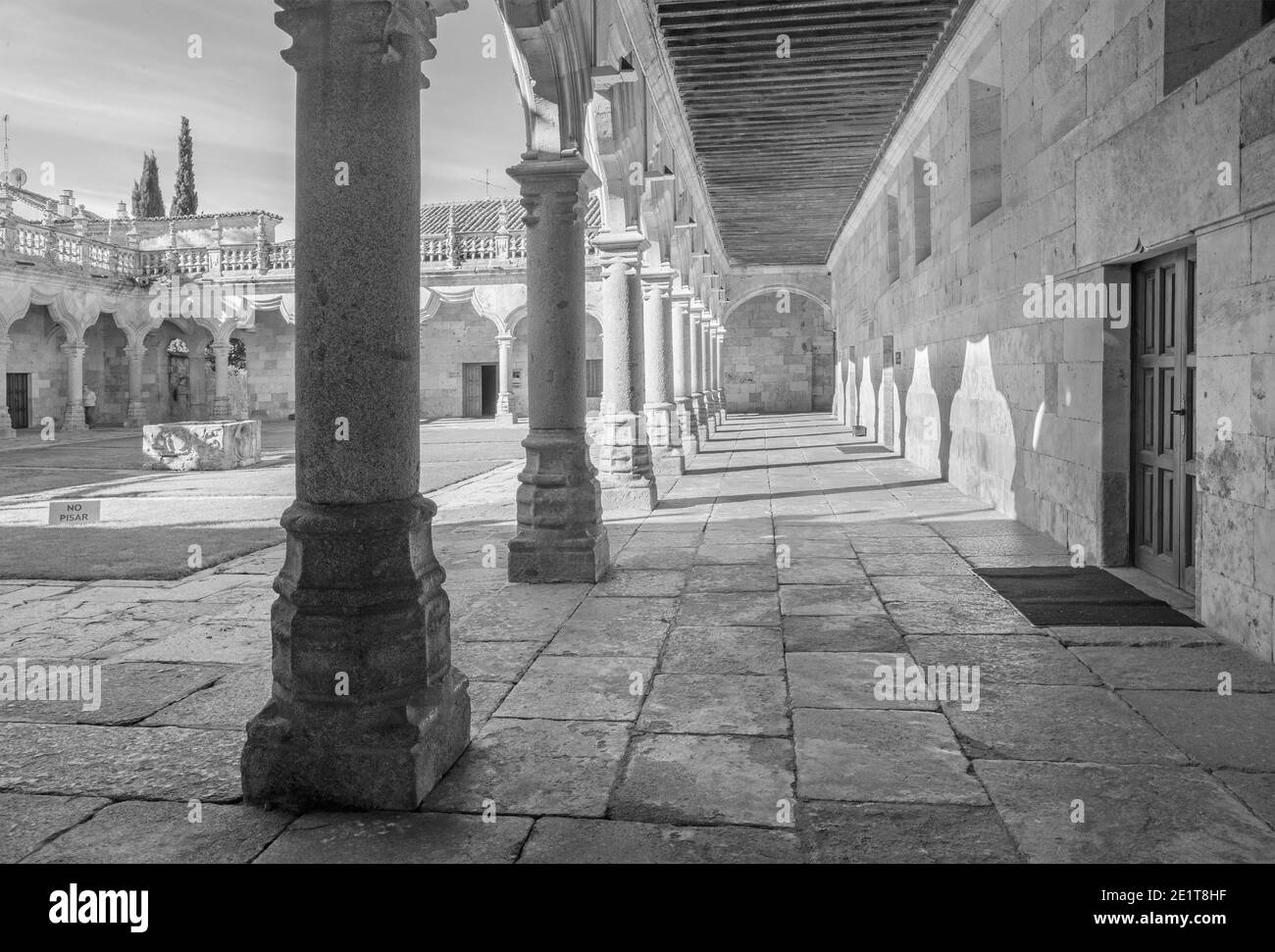 SALAMANCA, Spagna, aprile - 18, 2016: l'atrio del patio in stile barocco delle Escuelas Menores - Università di Salamanca. Foto Stock