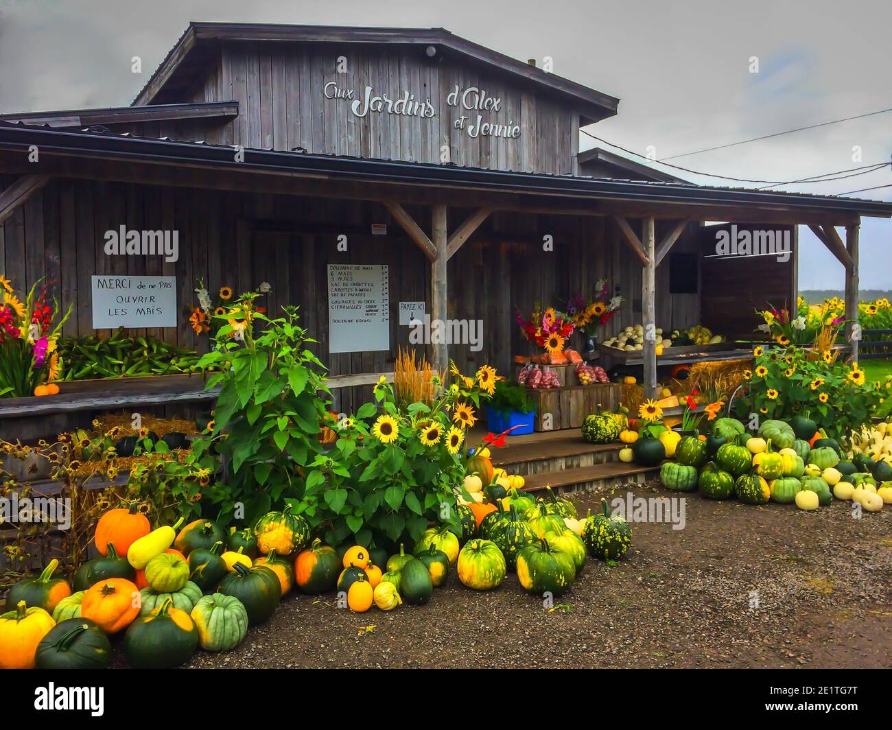 Chicoutimi, Canada, settembre 2019, zucche e fiori all'ingresso di 'Aux Jardins d`Alex e Jennie' un negozio di frutta, verdura e fiori Foto Stock