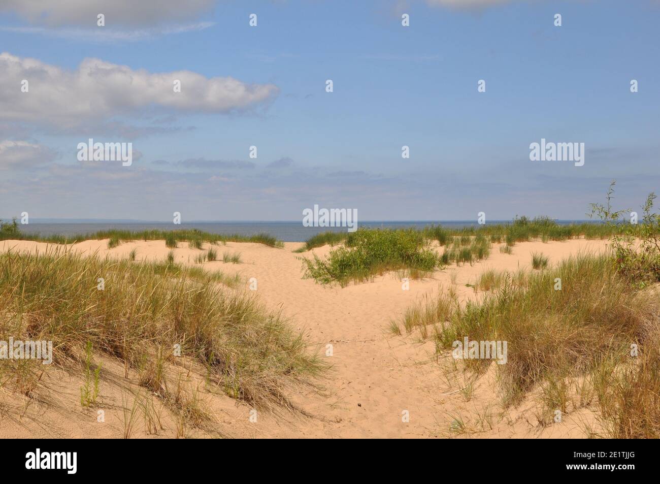 Le dune del Mar Baltico sono adornate di erba. Foto Stock