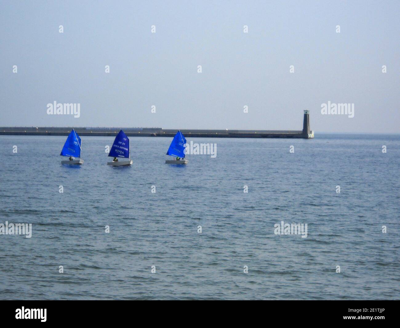 Giovani adepti di vela su yacht ottimisti vanno alla baia. Foto Stock