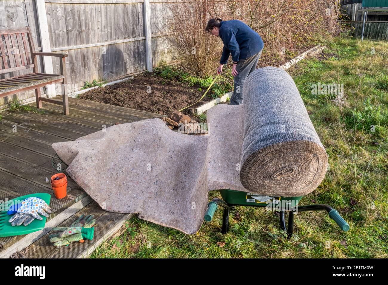 Donna che si prepara a mettere una lunghezza di erbacce biodegradabili matting in un bordo di giardino, prima di piantare una siepe. Foto Stock