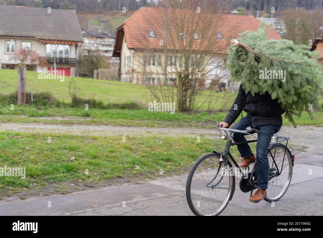 Shopping dell'albero di Natale in bicicletta. Fare tutto in bicicletta senza spensierare. Concetto per la protezione ambientale e per Natale. Foto Stock