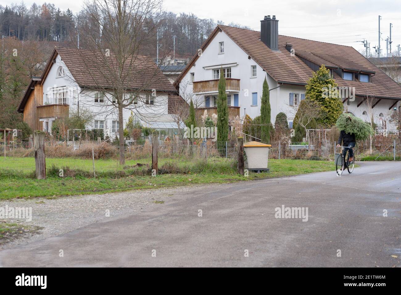 Shopping dell'albero di Natale in bicicletta. Fare tutto in bicicletta senza spensierare. Concetto per la protezione ambientale e per Natale. Foto Stock