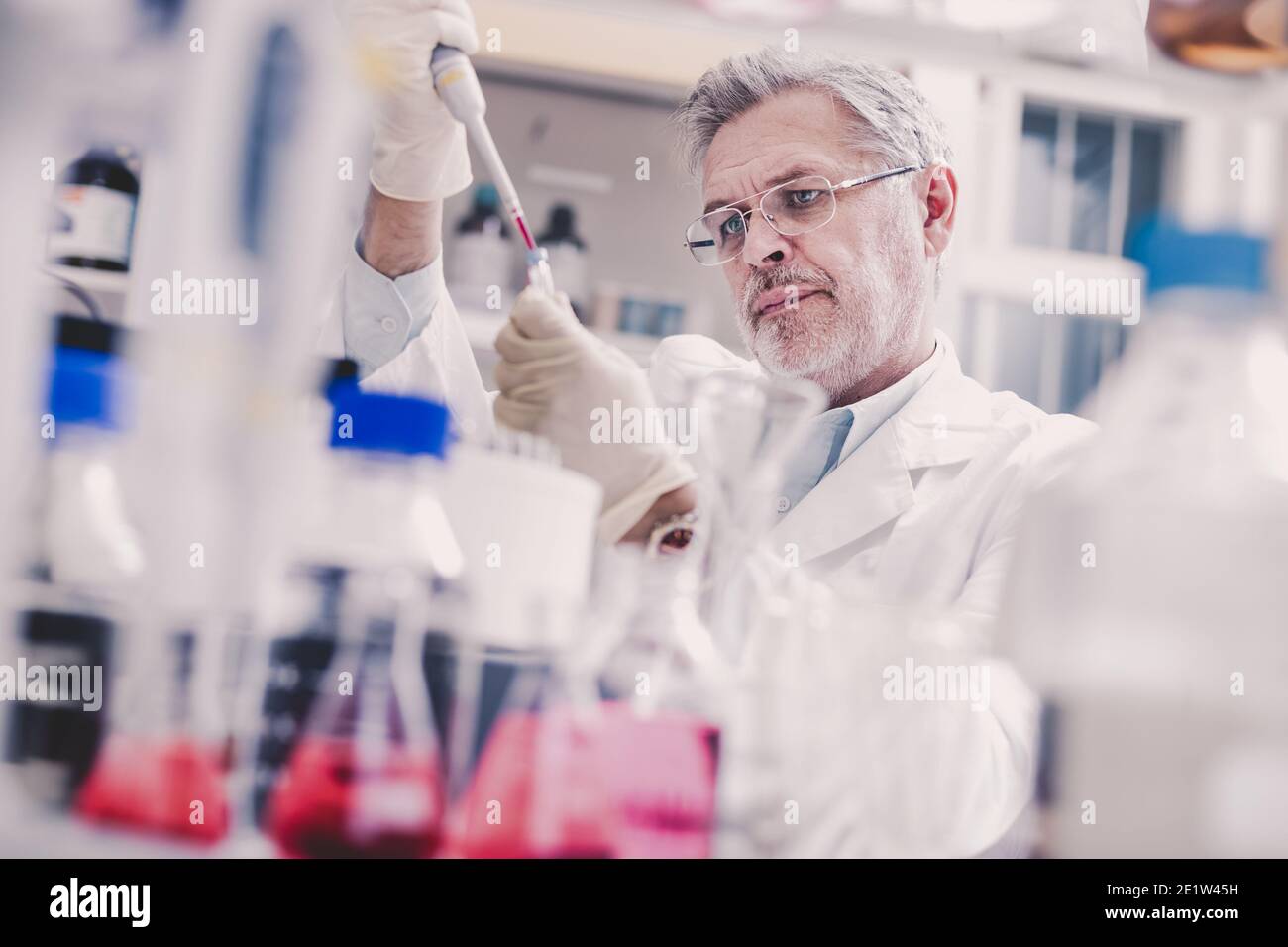 Anziano scienziato di vita maschile che ricerca in laboratorio. Foto Stock