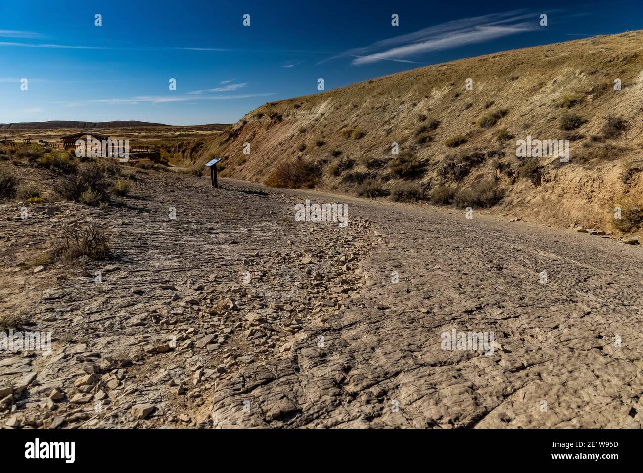 Sala da ballo con numerose piste al Red Gulch Dinosaur Tracksite sulla BLM Land vicino a Greybull e Shell, Wyoming, USA Foto Stock