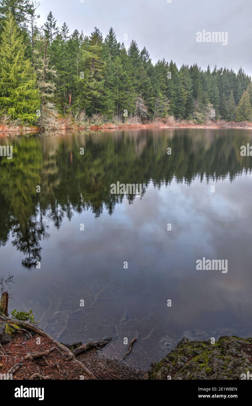 Grass Lake, Sooke Hills, Vancouver Island Foto Stock