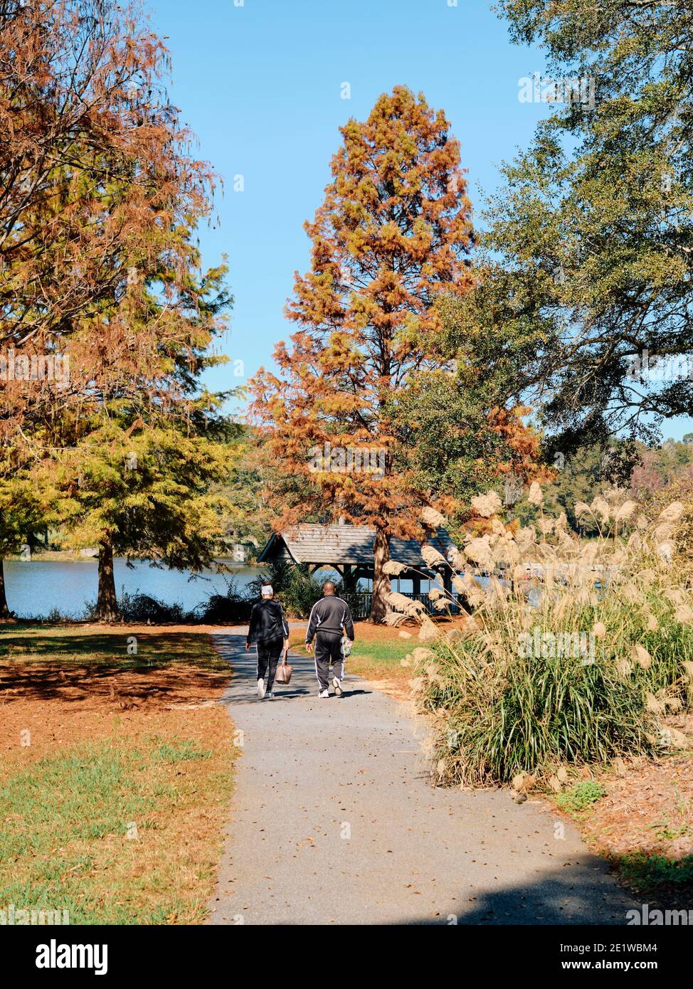 Coppia afroamericana, uomo e donna, camminando su un sentiero in un parco in autunno, in Callaway Gardens, Pine Mountain Georgia, USA. Foto Stock