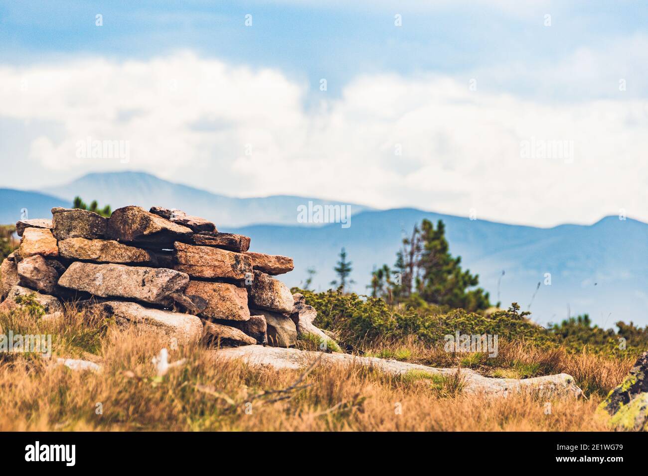 Solo albero giovane su cresta rocciosa. Pino su collina con le montagne all'orizzonte Foto Stock