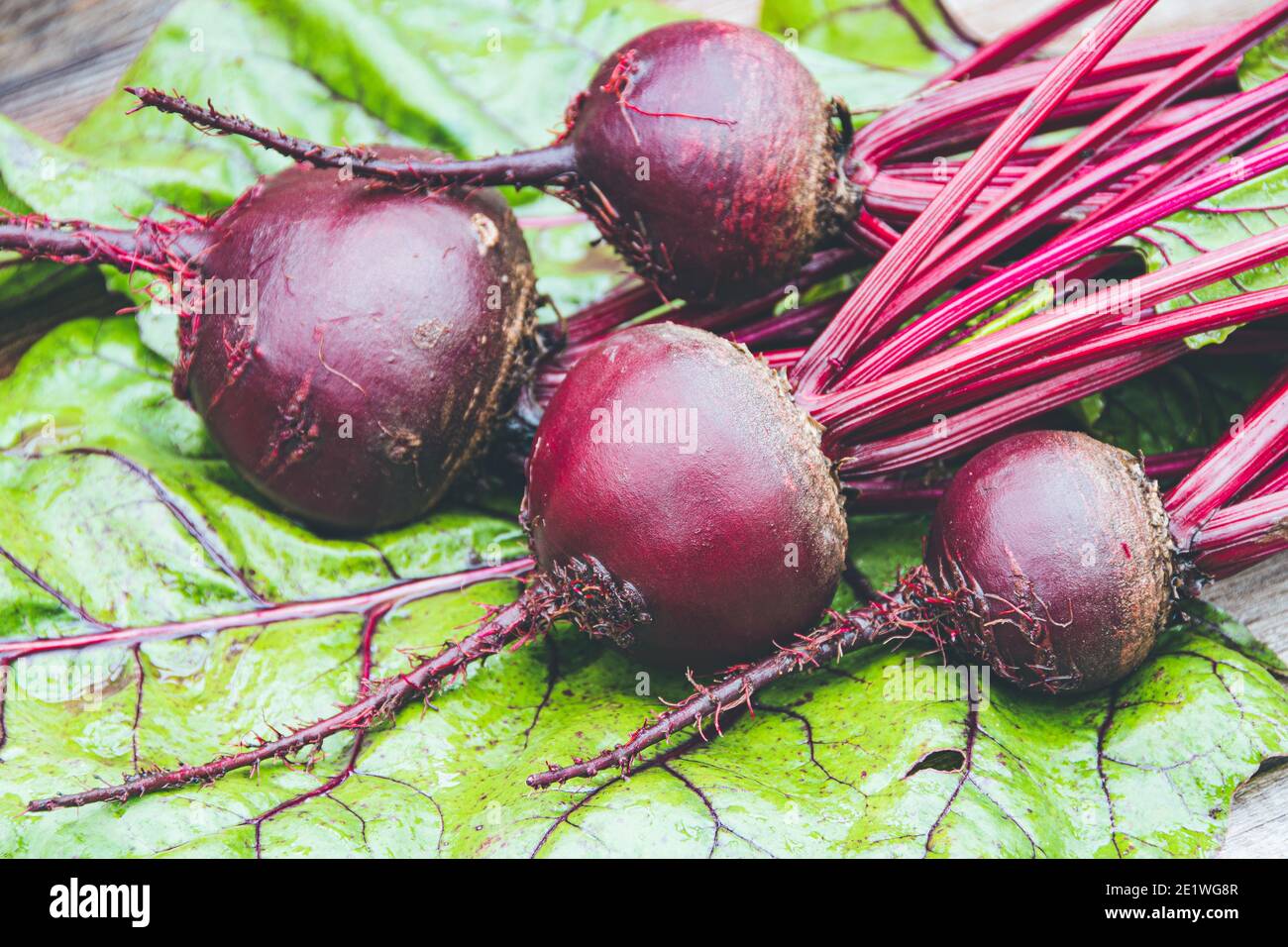 Tuberi di barbabietole con foglie verdi su tavola di legno. Preparazione di insalata fresca. Verdure fresche per la cucina vegetariana. Barbabietole sul mercato di strada. Foto Stock