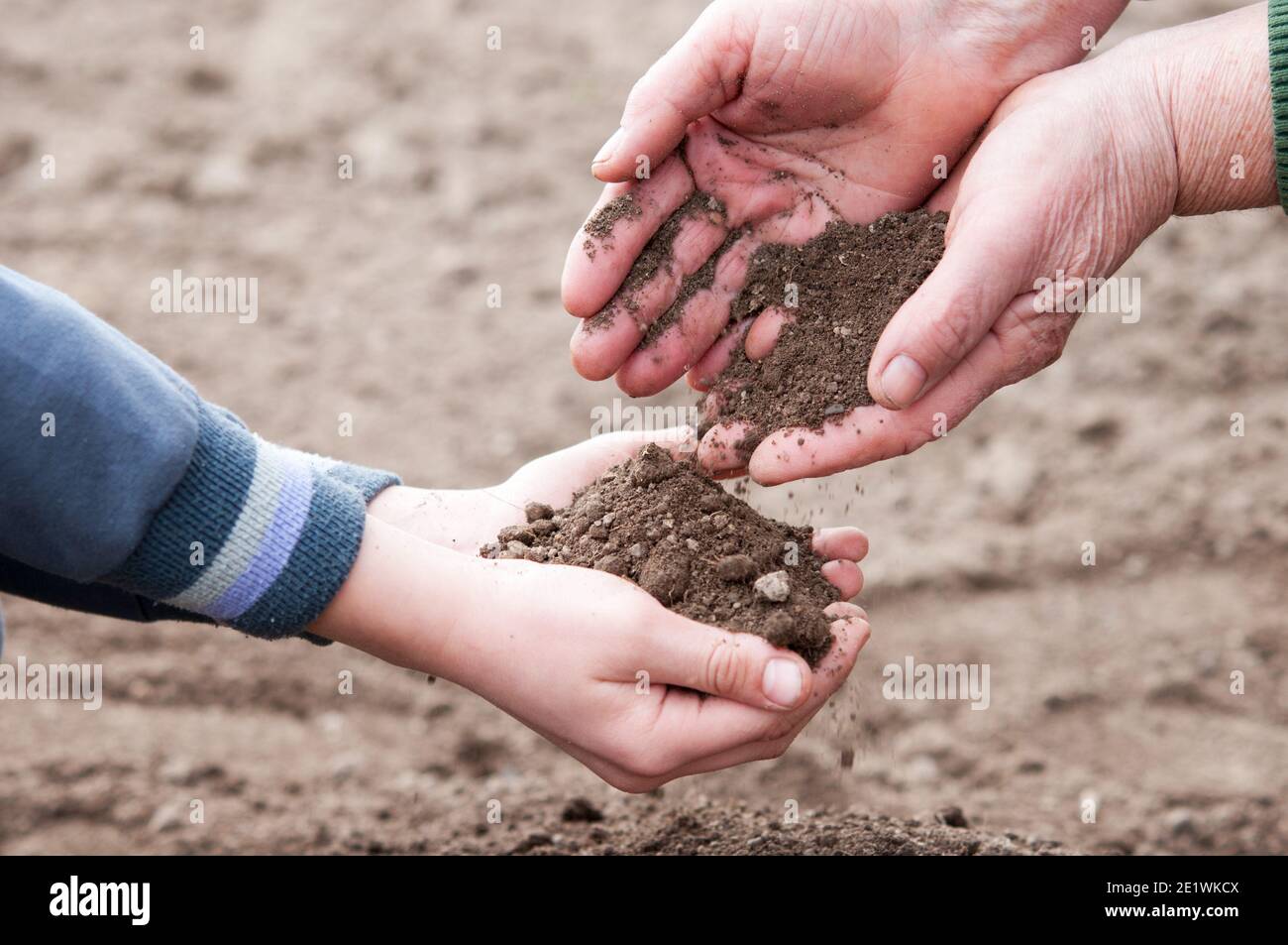 Una donna anziana riempie le mani di un bambino terreno fertile - conservazione della natura Foto Stock