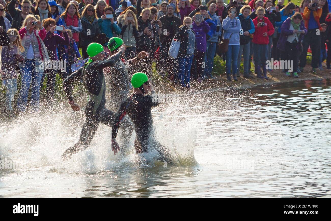 Nuotatori Triathlon che entrano nel palcoscenico di nuoto in acqua aperta. Foto Stock