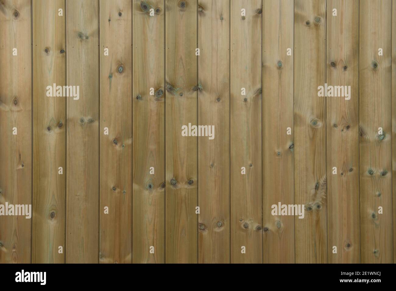 Sfondo o trama di legno di Tanalised Redwood Shiprap rivestimento esterno di un edificio in Devon Rurale, Inghilterra, Regno Unito Foto Stock