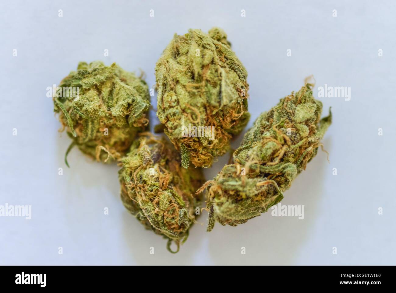 La Cannabis, Droge, Blueten Foto Stock