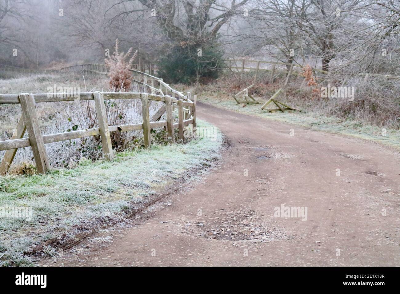 Paese inglese scena in inverno mostrando corsia ghiacciata con recinzione e alberi Foto Stock