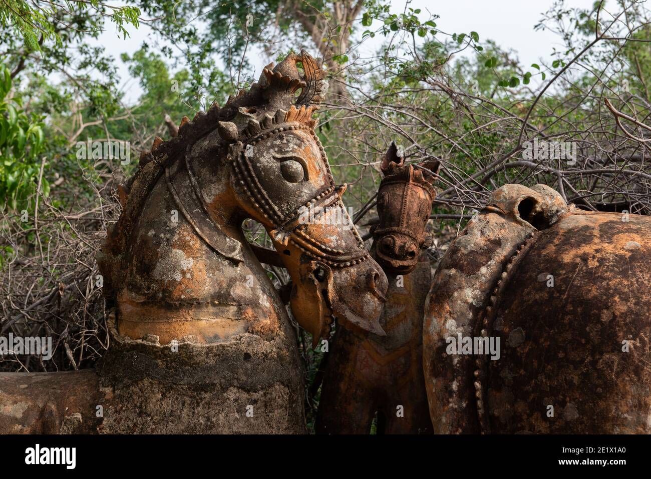 PUDUKKOTTAI, India - 17 agosto 2019: Vecchi cavalli di terracotta al Tempio di Ayyanar Foto Stock