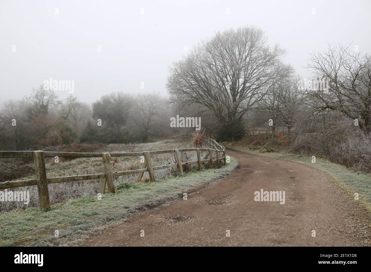 Scena paese inglese gelido in inverno mostrando percorso ghiacciato e. alberi non fogliame Foto Stock