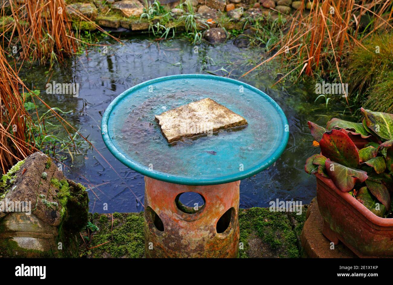 Un bagno di uccello congelato da un stagno di giardino coperto di ghiaccio dopo il gelo notturno in un giardino inglese a Hellesdon, Norfolk, Inghilterra, Regno Unito. Foto Stock