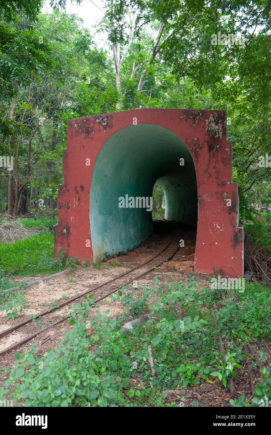 Pondicherry, India - Dicembre 2020: Il Giardino Botanico. Piccolo tunnel sulla ferrovia per visitare il giardino con un trenino. Foto Stock