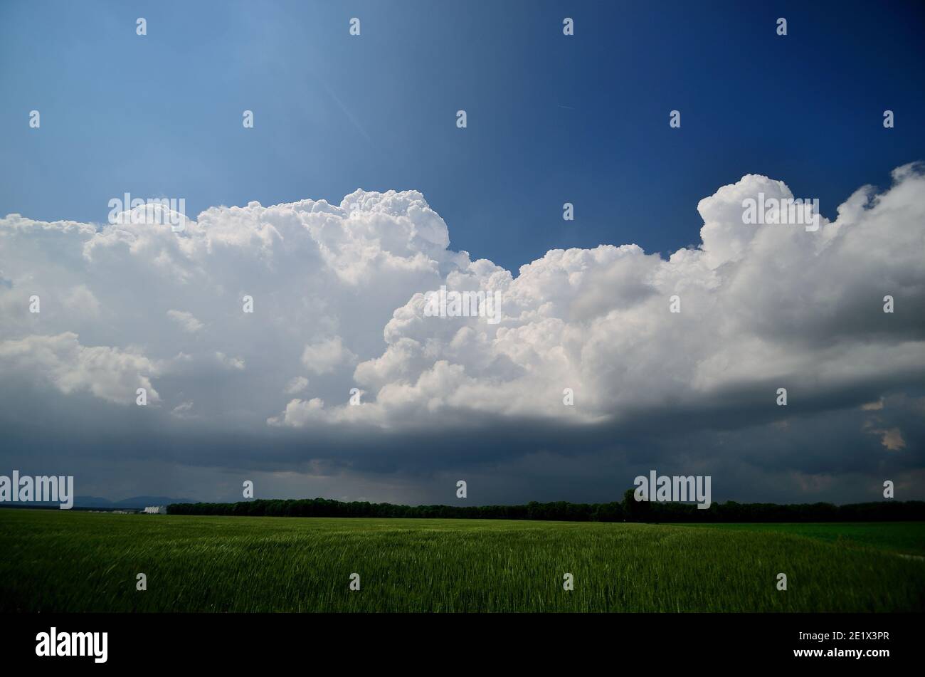 grande nuvola bianca su campo verde Foto Stock