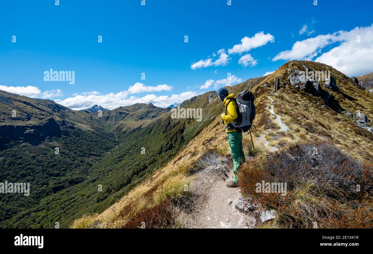 Escursionisti sul sentiero escursionistico, vista sulle montagne Kepler, sul sentiero escursionistico Kepler Track, Great Walk, Fiordland National Park, Southland, Nuova Zelanda Foto Stock