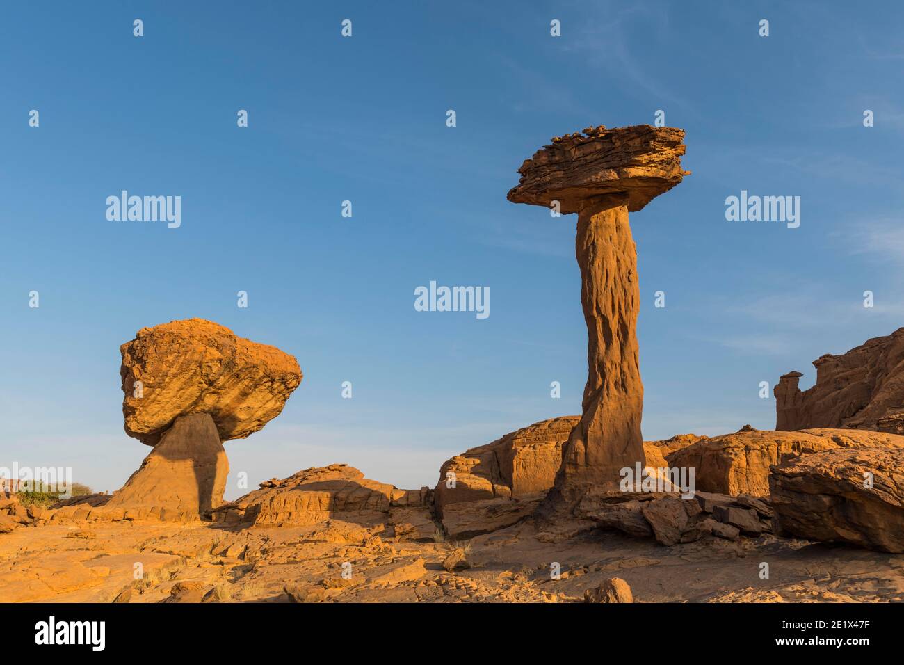 Formazione rocciosa, Hoodoo, Ennedi Plateau, Ciad Foto Stock