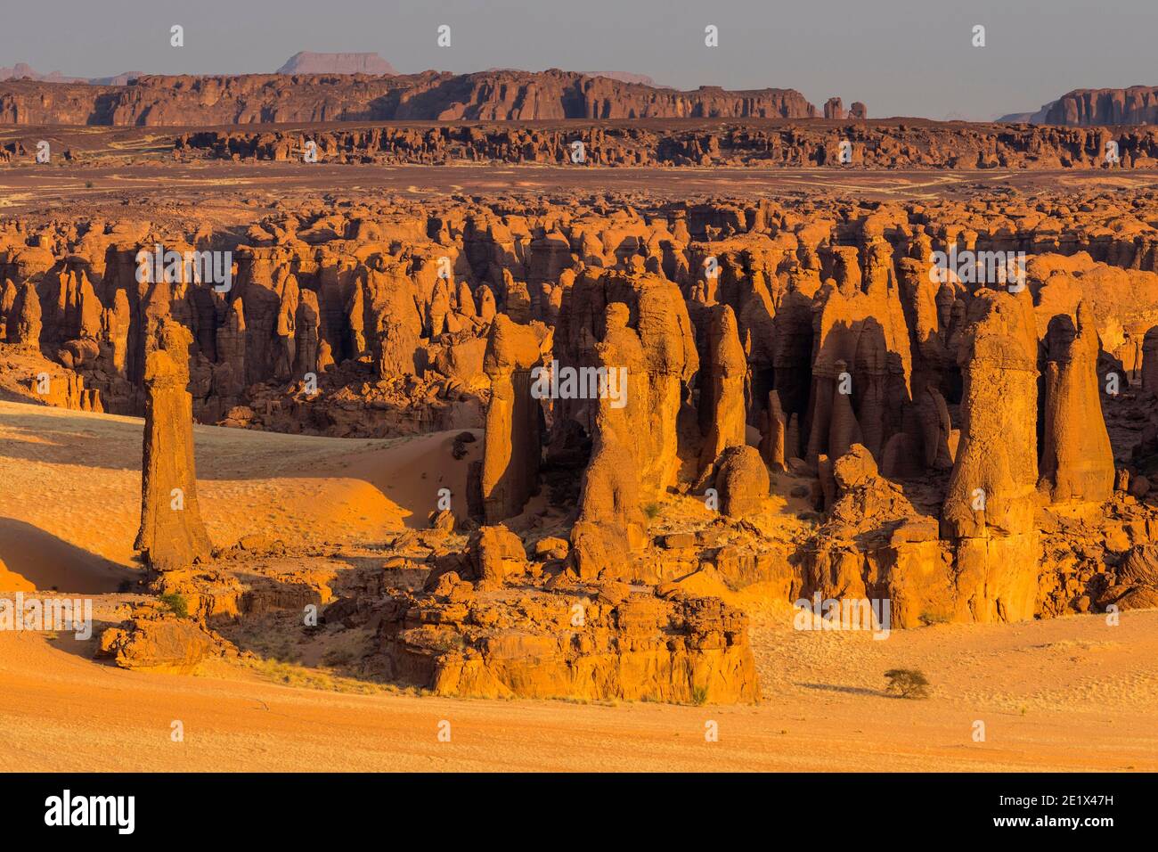 Paesaggio erosionale, Ennedi Plateau, Ciad Foto Stock