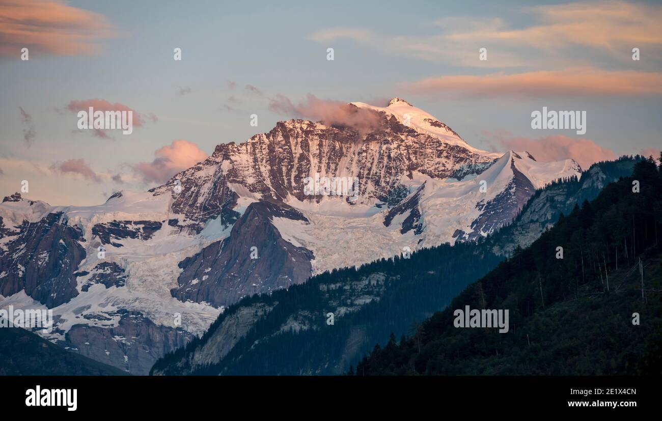 Atmosfera serale, vista sulle cime delle montagne, Jungfrau e Jungfraujoch, ghiacciaio Jungfraufirn, regione Jungfrau, Grindelwald, Berna, Svizzera Foto Stock