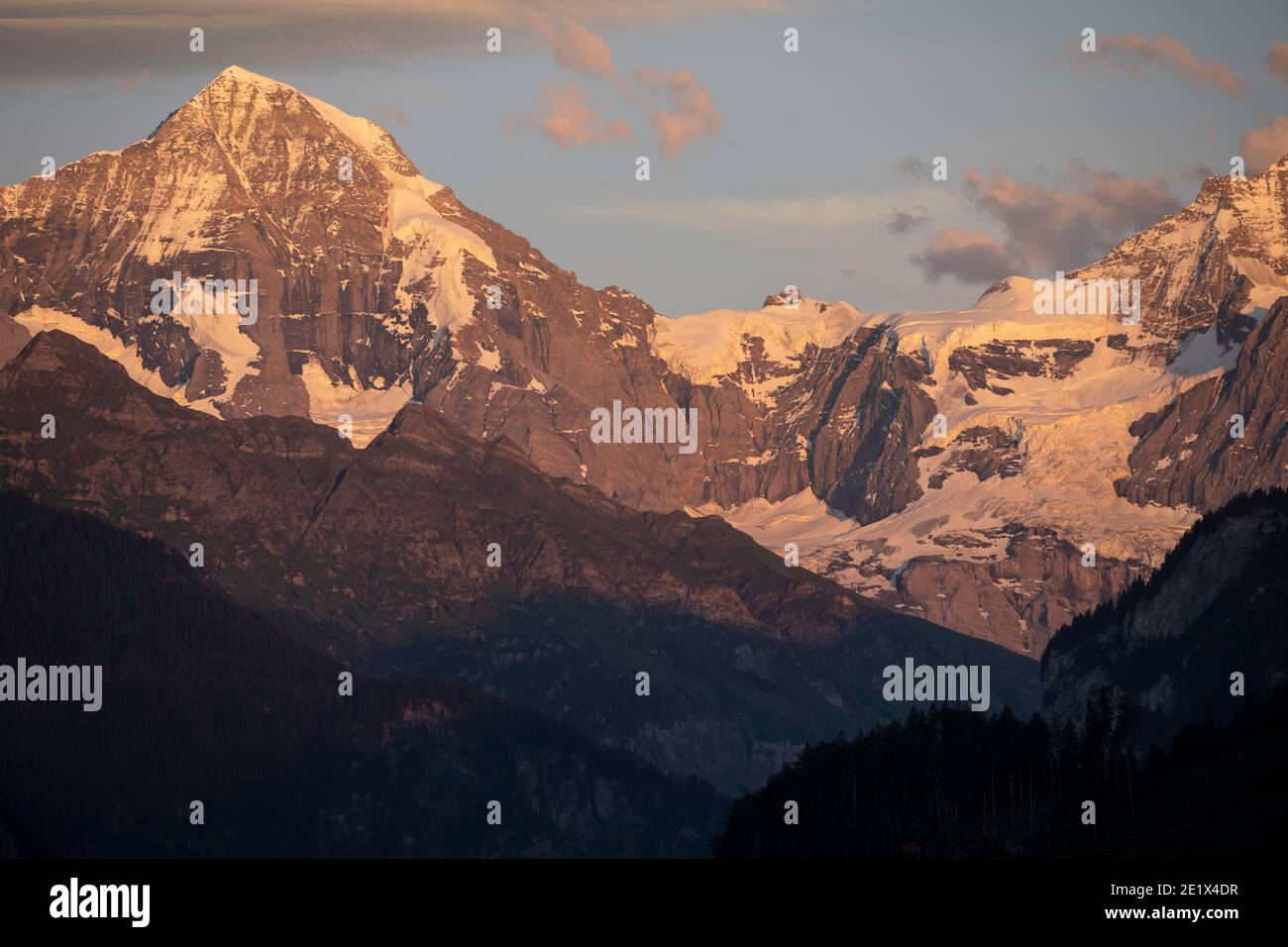 Atmosfera serale, vista sulle cime delle montagne, Moench e Jungfraujoch, ghiacciaio Jungfraufirn, regione Jungfrau, Grindelwald, Berna, Svizzera Foto Stock