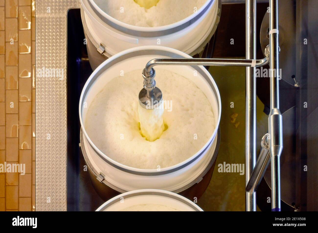 Miscela di siero di latte e formaggio, ripieno in stampi da pressa, Affoltern im Emmental, Svizzera Foto Stock