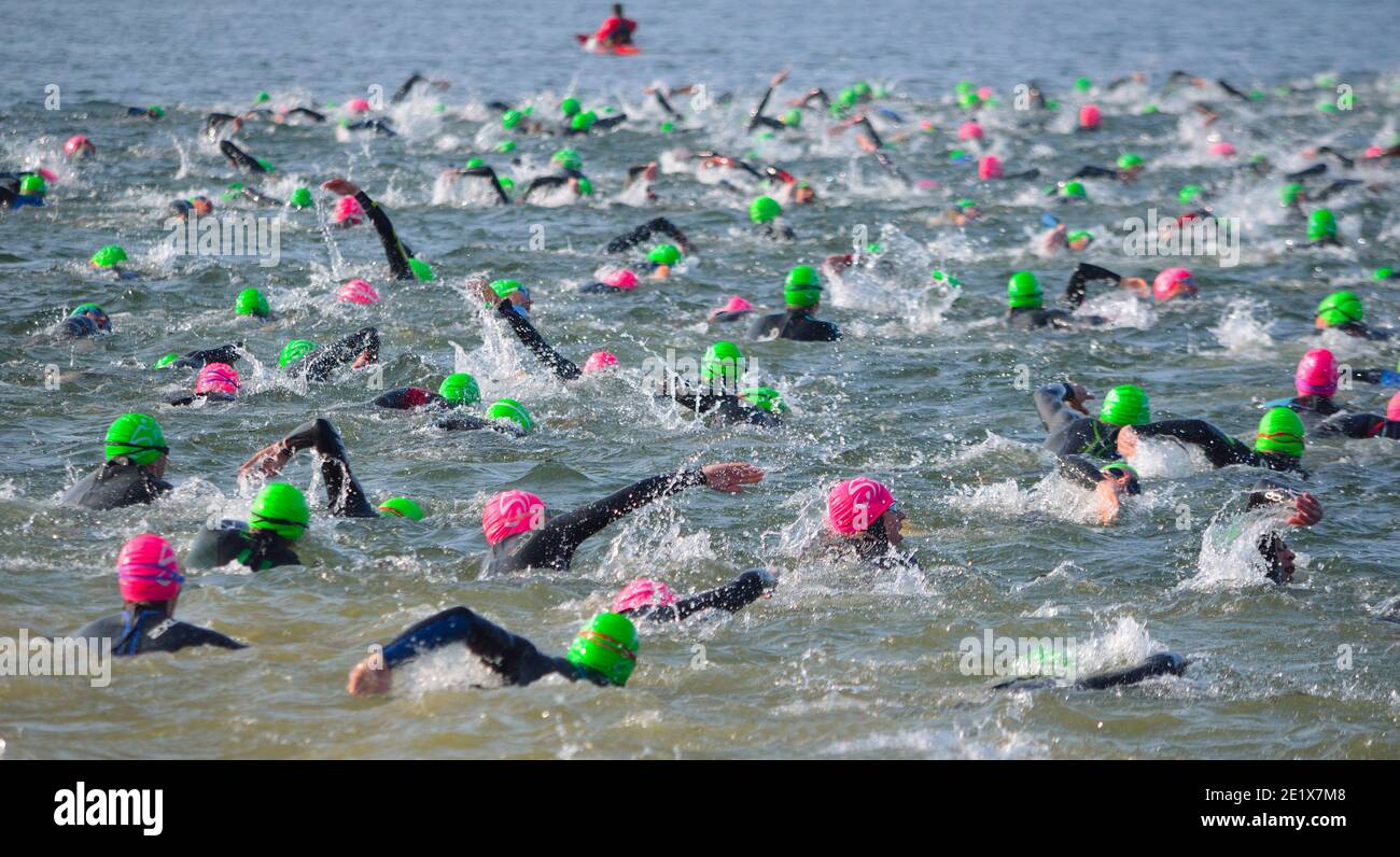 I concorrenti nuotano in acque aperte all'inizio di Triathlon. Foto Stock