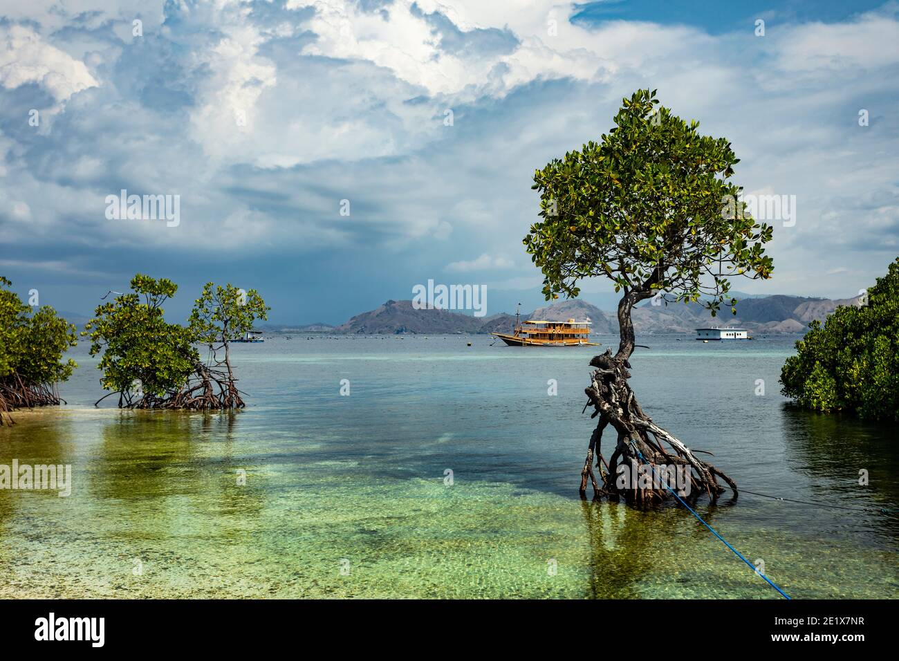 Verde lussureggiante mangrovie nel Parco Marino Nazionale di Komodo, Flores con una barca di spedizione sullo sfondo Foto Stock